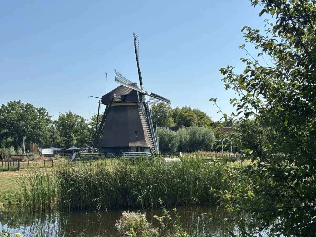 Molen de Vlieger