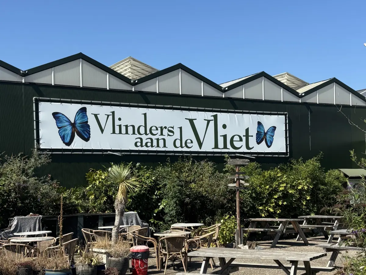 Vlinders aan de vliet