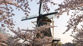 Molen de Salamander