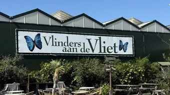 Vlinders aan de Vliet
