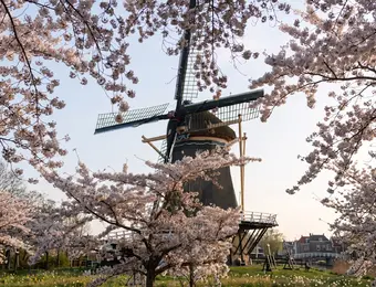 Molen de Salamander
