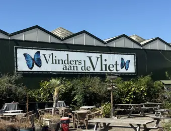 Vlinders aan de vliet